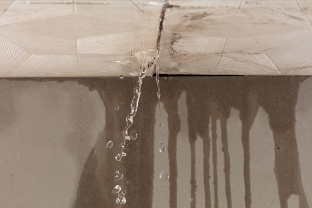 Professional Burst Pipe Cleanup technician working in Edgecomb, ME